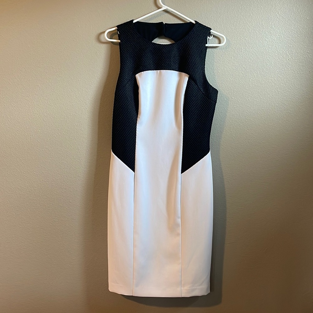 Ralph Lauren dress, black and white, never worn, open circle in back